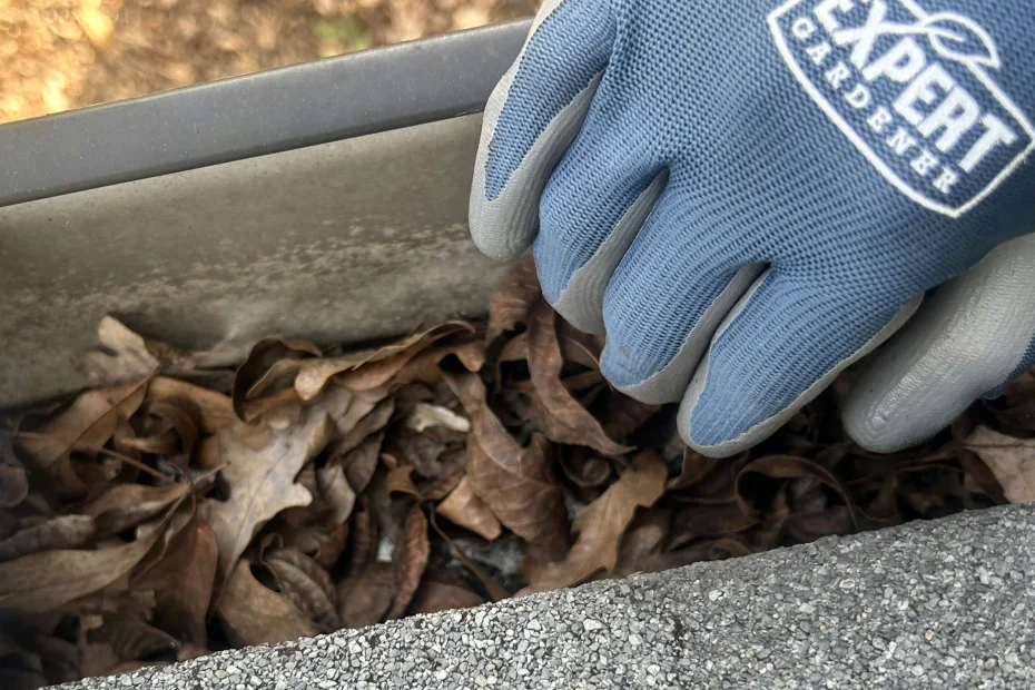 Gutter Cleaning Zionsville