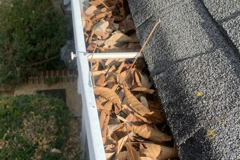 Gutter Cleaning Zionsville