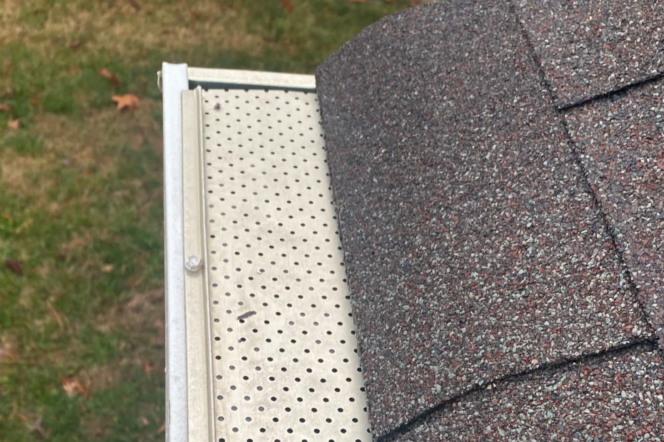 Gutter Cleaning Zionsville