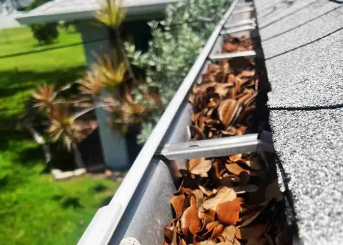 Gutter Cleaning Zionsville home page